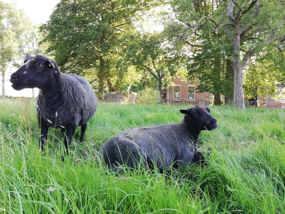 'T Winkeltje - Vakantiehuisje Op Boerderij Huize Blokland Hem 외부 사진
